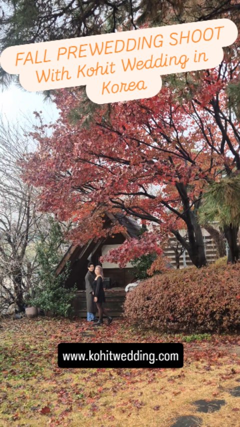 All 4 seasons available to shoot😊
Check out the fall season in Korea for prewedding shoot
Our full pre wedding package 📸 price starts from lowest at 1900 000 Won (~1500usd!). No hidden fee.

FREE 🎁 snap shot video//video 🎥 , MV photoslides and more DEALS only with KOHIT WEDDING 😆👍 *Contact us now before all booked!! Like and follow us on Facebook! 💕

Subscribe to our youtube channel 
. ➡FB: www.facebook.com/kohitweddingenglish
. ➡ Youtube: www.youtube.com/c/Koreaprewedding
. 🌐Website: www.kohitwedding.com
. 💬 Whatsapp: +82-10-8986-6494
. ✉ Email: kohitwedding@naver.com

#koreapreweddingshoot #koreaweddingphoto #韓國婚紗攝影 #PreweddingInKorea #韓國婚紗照
